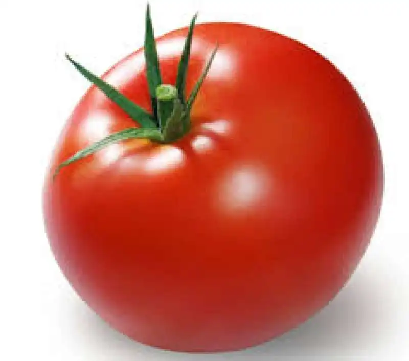 POMODORO 1