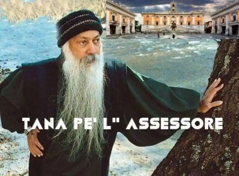 raggi assessore