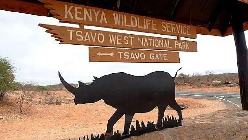 tsavo national park