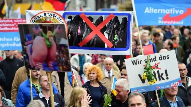 afd manifestazione anti immigrazione