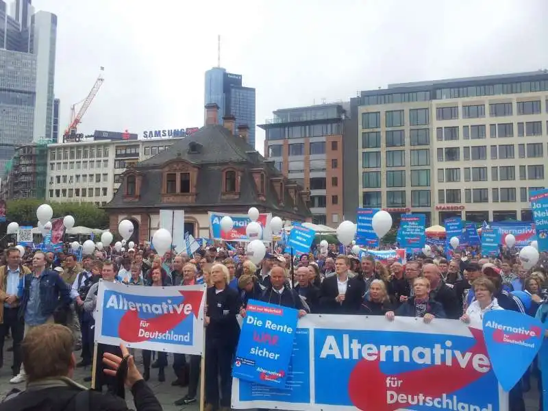 afd manifestazione francoforte