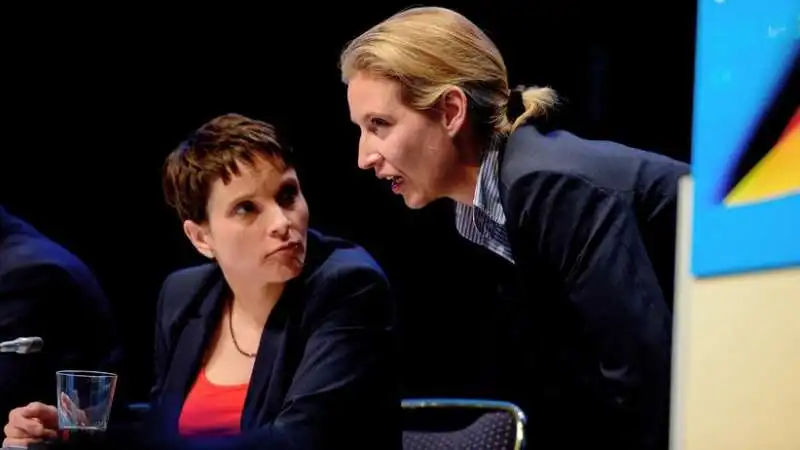 afd petry weidel