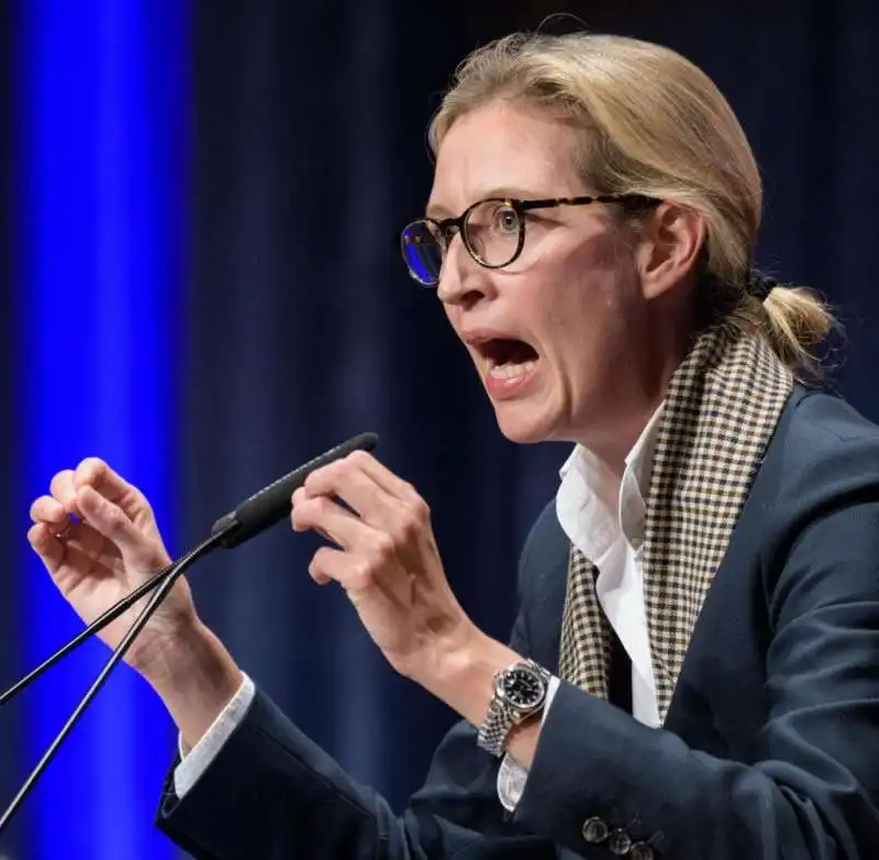 ALICE WEIDEL     