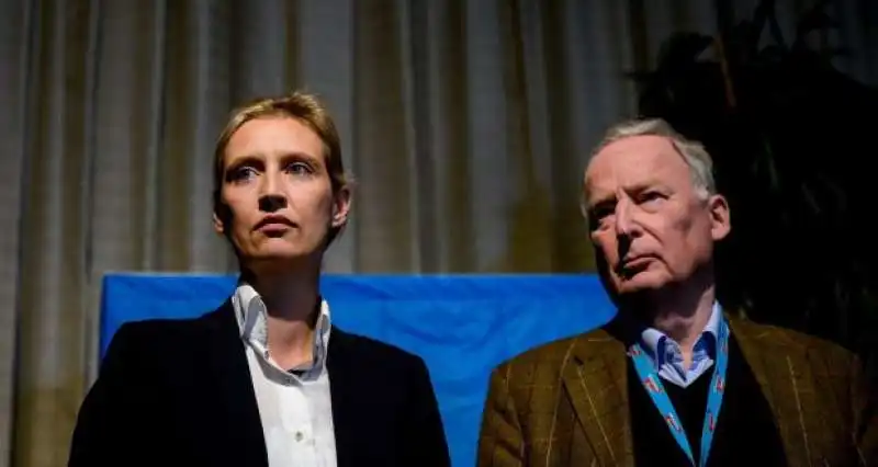 ALICE WEIDEL ALEXANDER GAULAND