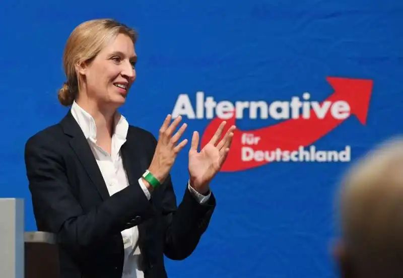 alice weidel leader gay afd