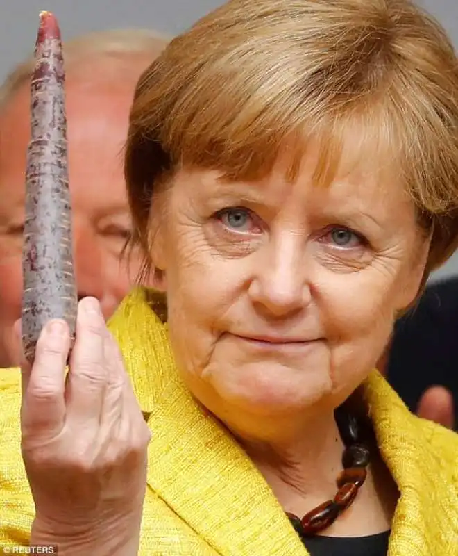 angela merkel 