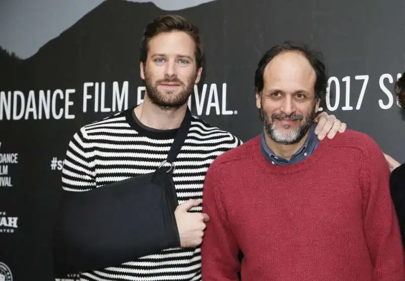 armie hammer luca guadagnino