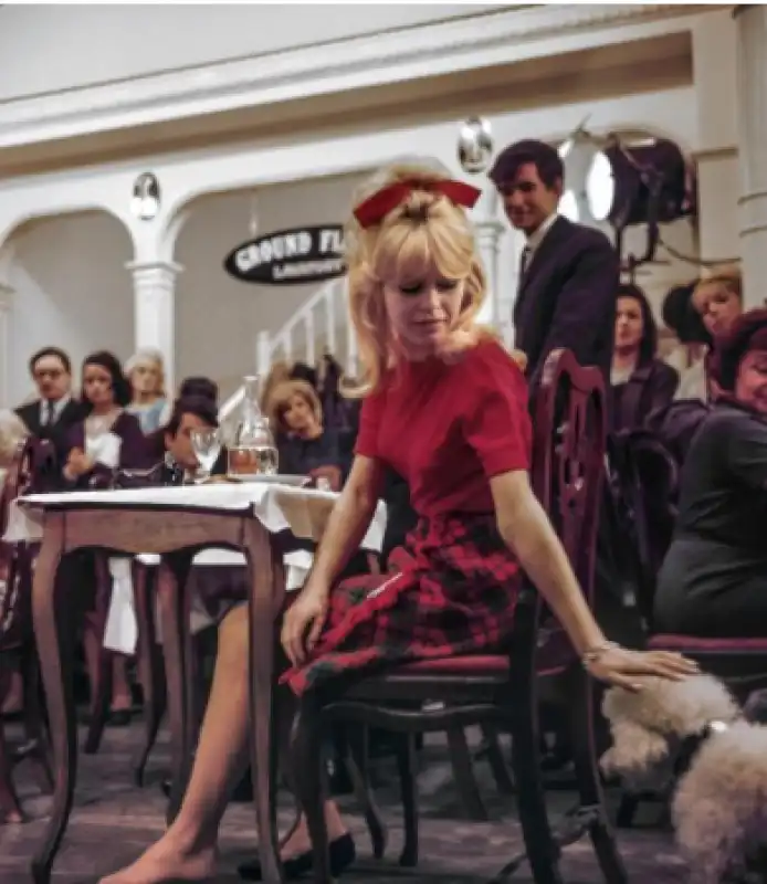 BARDOT