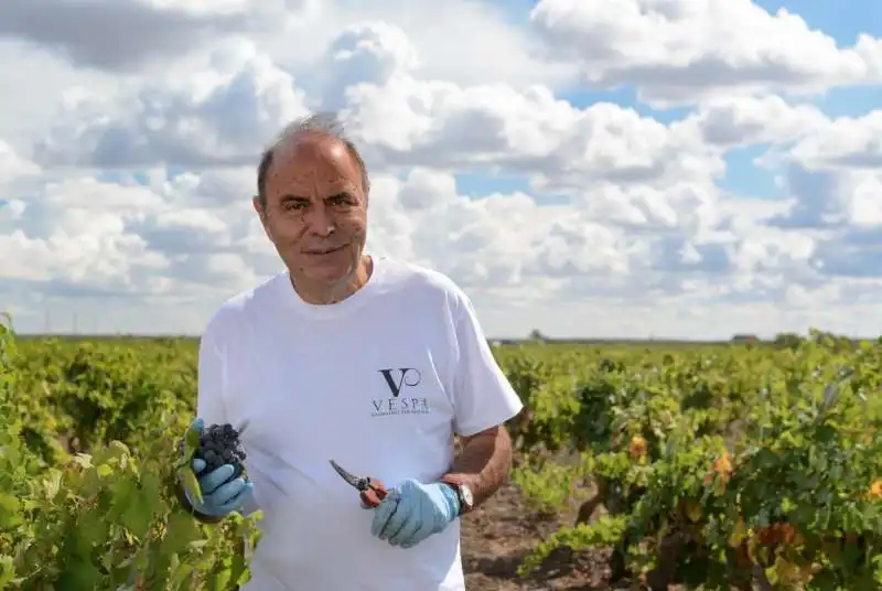 bruno vespa e la vendemmia 5