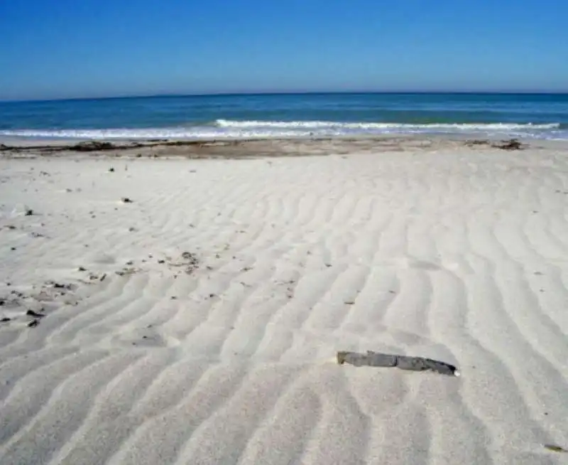 caraibi toscani a vada livorno  1