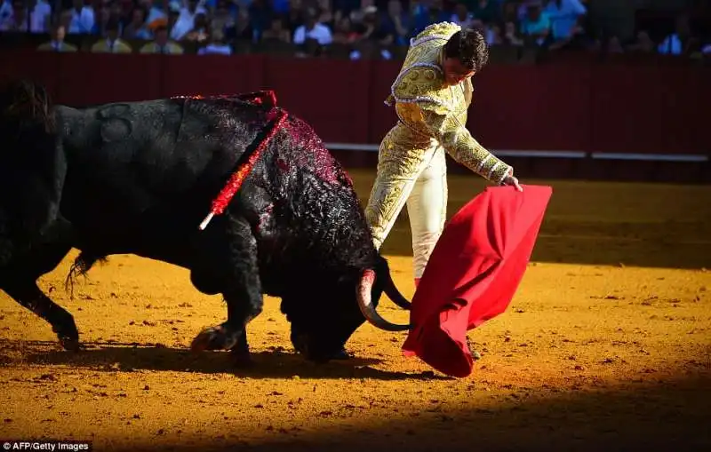 corrida di sangue a siviglia