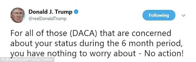 donald trump su daca