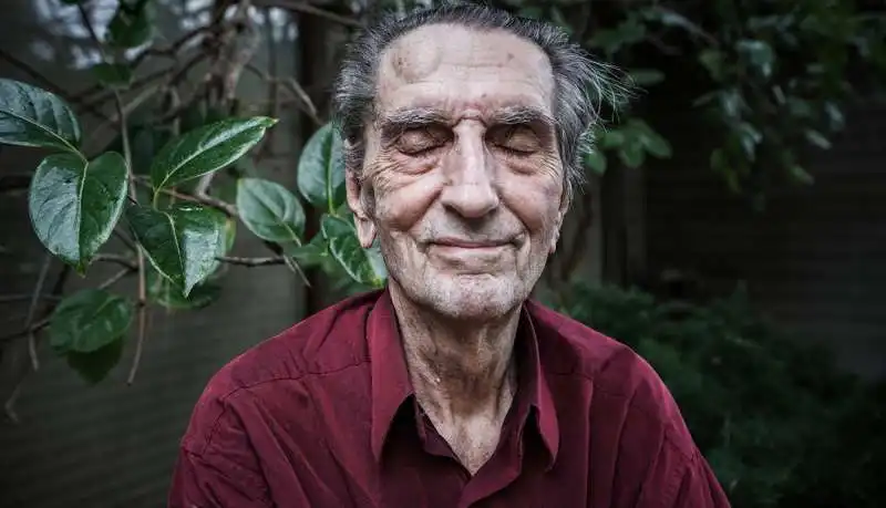 harry dean stanton