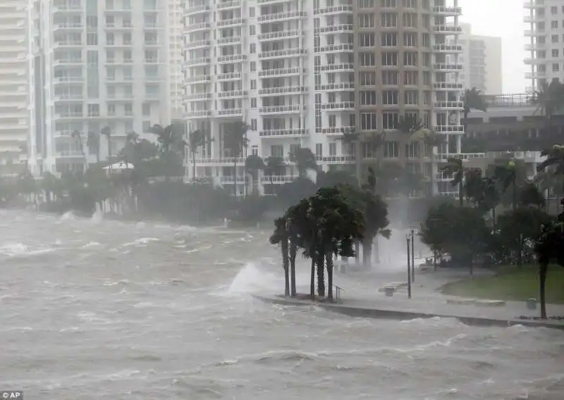 uragano irma in florida  14