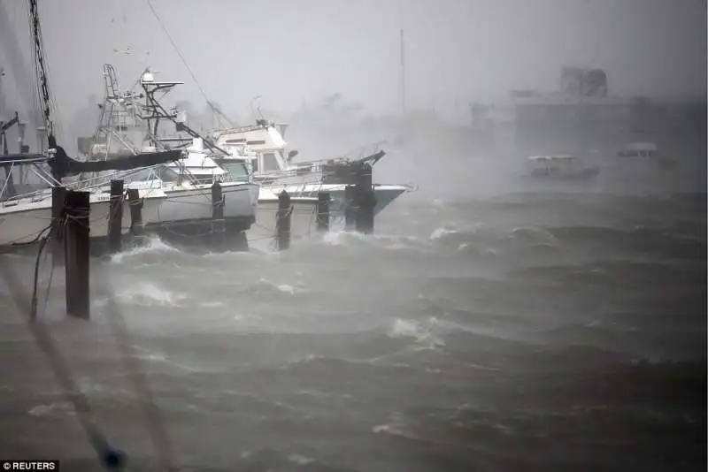 uragano irma in florida  4