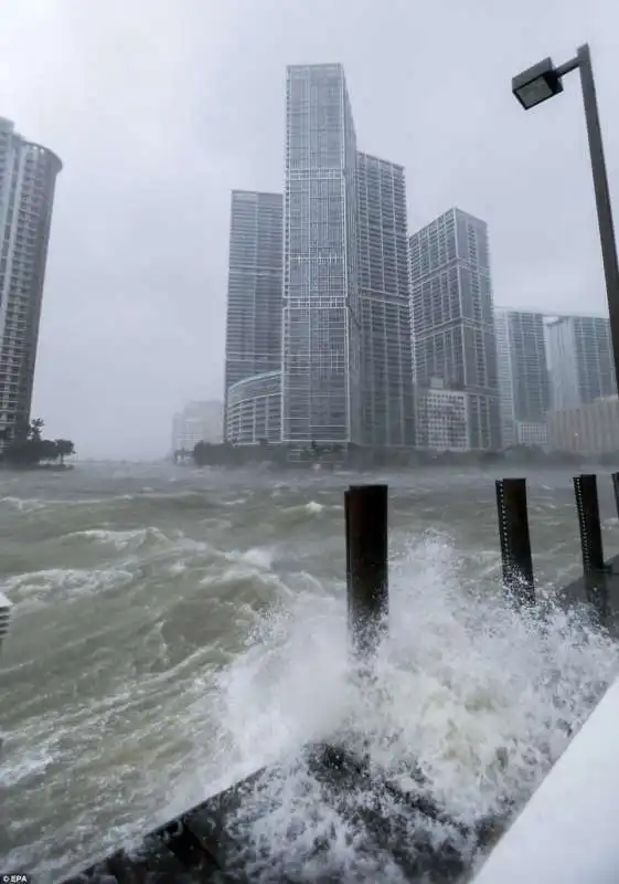 uragano irma in florida  6