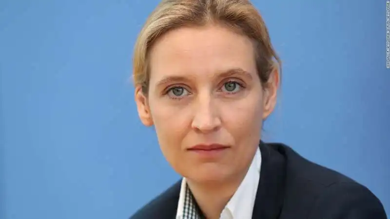 weidel leader gay afd