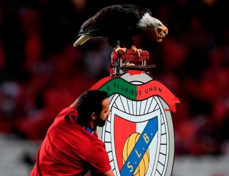 BENFICA