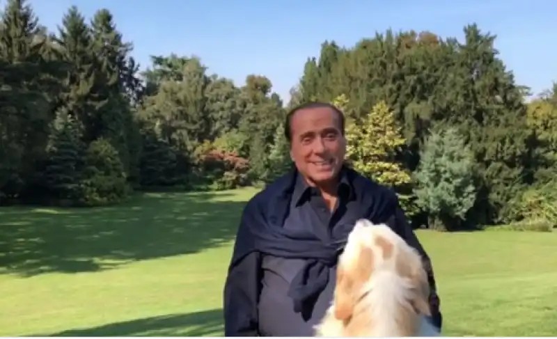 berlusconi harley