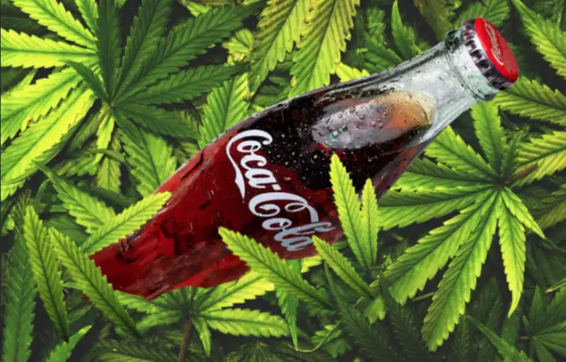 coca cola cannabis