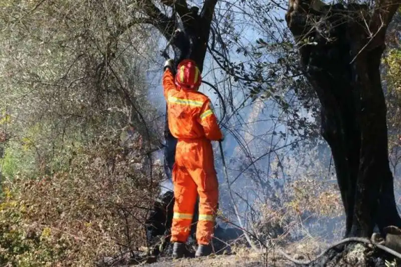 incendio monte serra 13