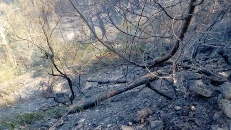 incendio monte serra 22