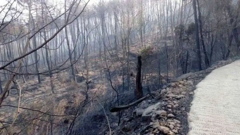 incendio monte serra 23