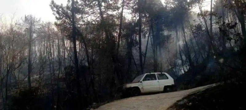 incendio monte serra 24