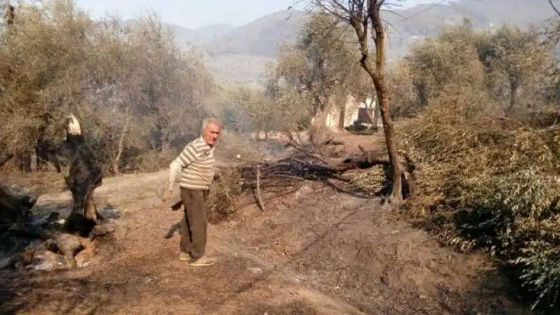 incendio monte serra 28