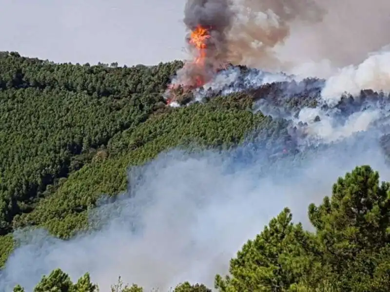 incendio monte serra 29