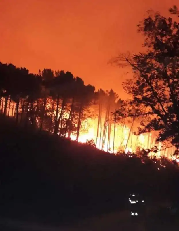 incendio monte serra 3