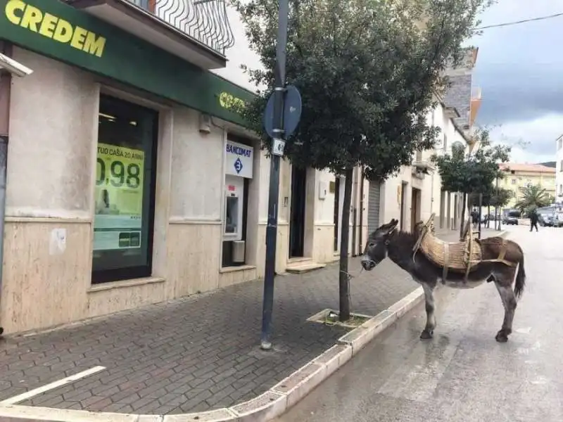 PROVINCIA DI FOGGIA - PARCHEGGIA L ASINO PER ANDARE IN BANCA