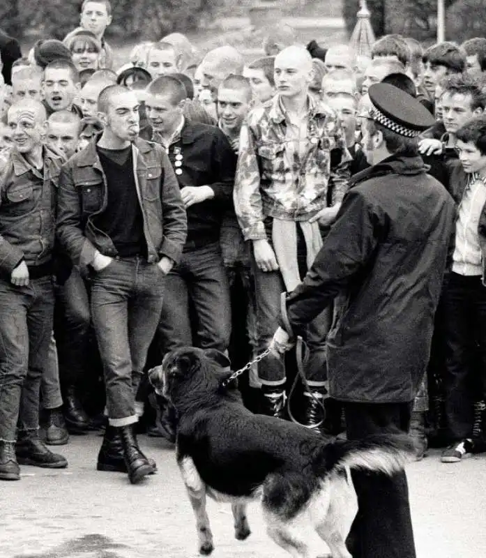 skinhead 12