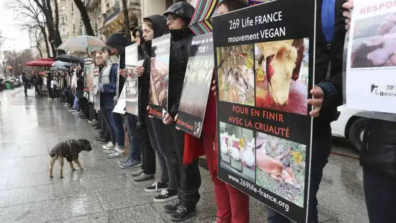 vegani in francia    