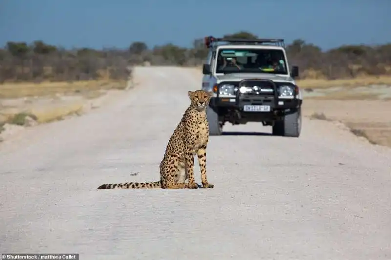 arid eden route in namibia 