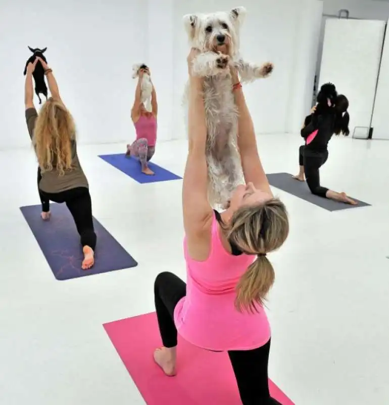 doga   lo yoga con i cani 