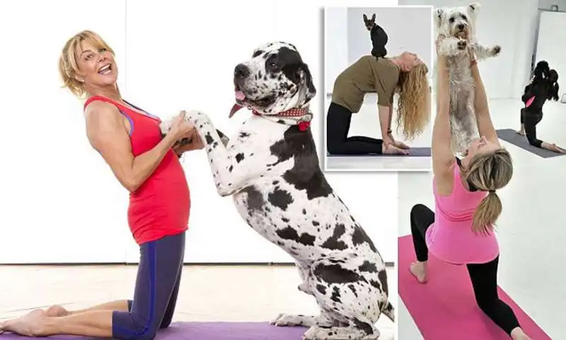 doga yoga