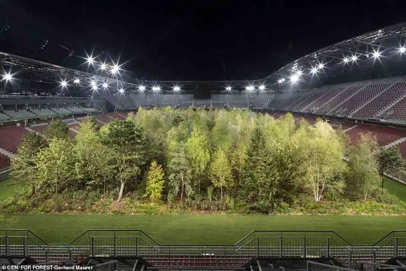 gli alberi piantati nel woerthersee stadio di klagenfurt 4