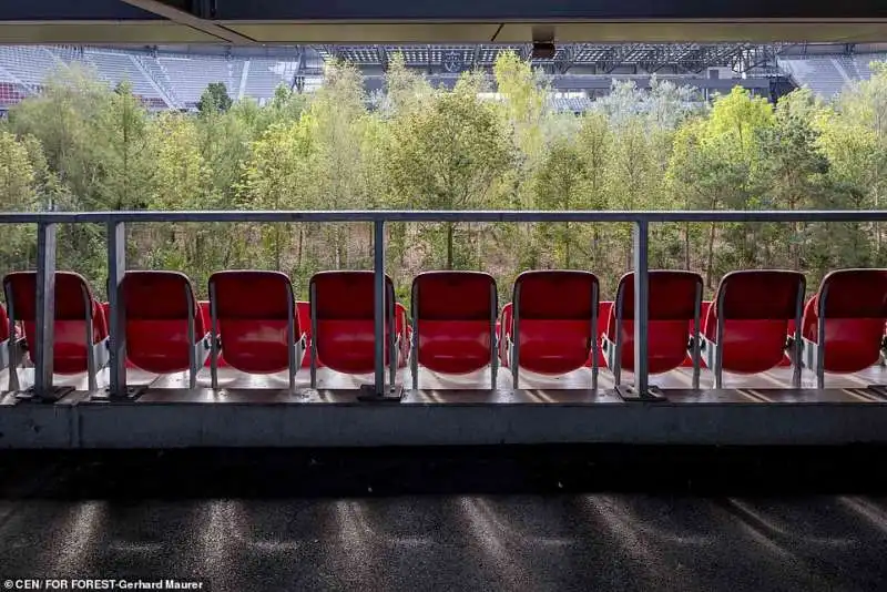 gli alberi piantati nel woerthersee stadio di klagenfurt 6