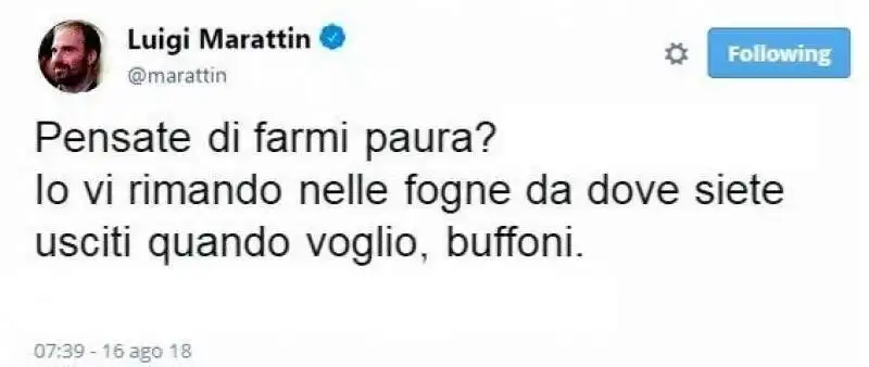 i tweet da bullo di marattin  