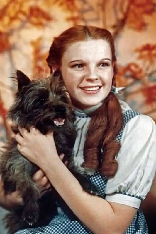 judy garland 5