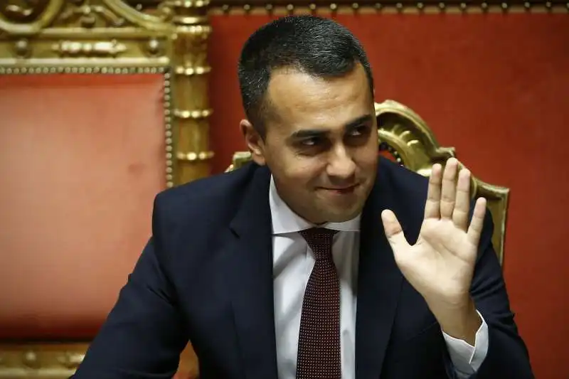 luiigi di maio. 