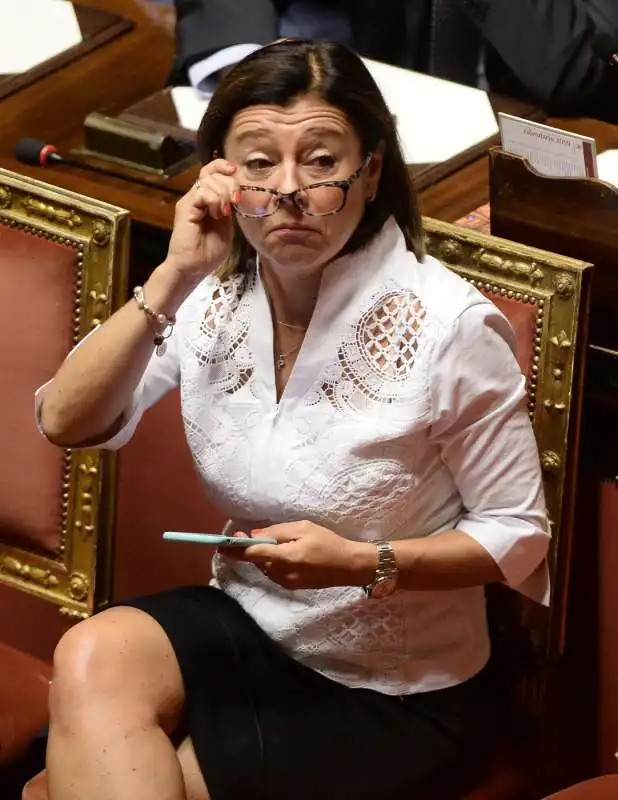 paola de micheli al senato 1