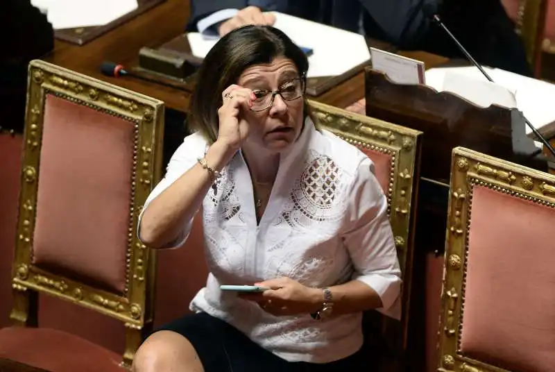 paola de micheli al senato 4