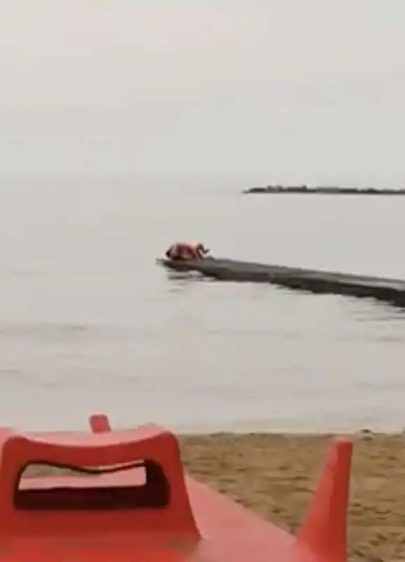 sesso sul pontile a pescara 3