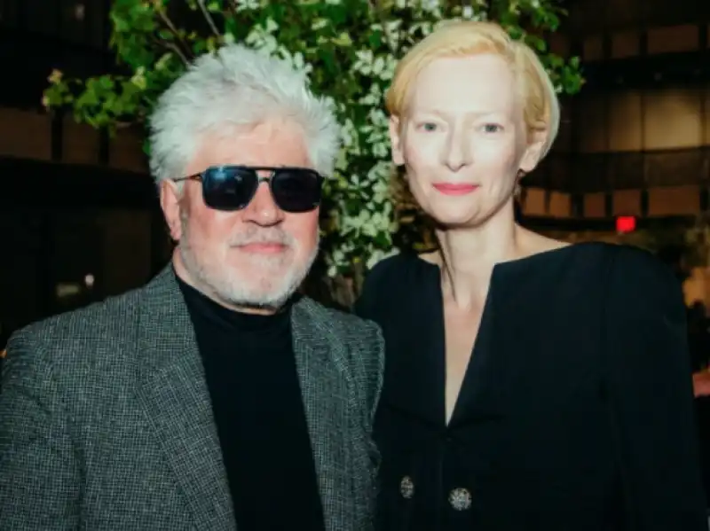 almodovar swinton