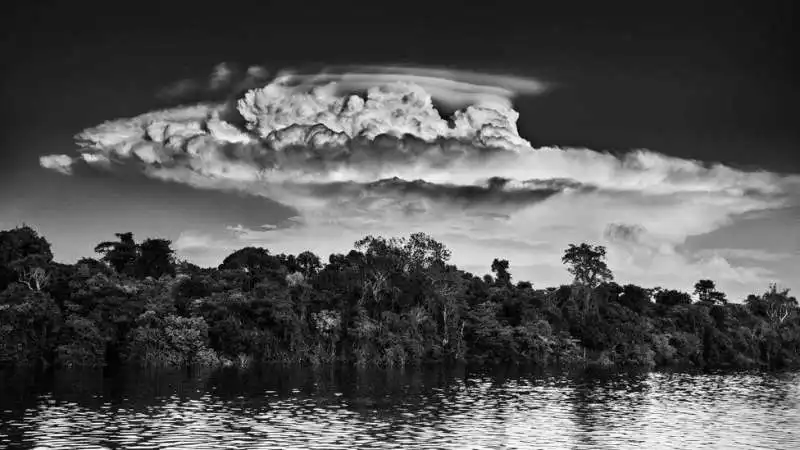 amazonia sebastiao salgado 15