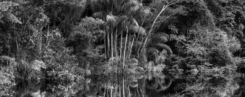 amazonia sebastiao salgado 3