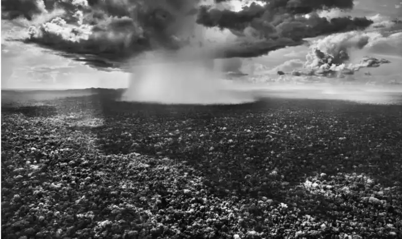 amazonia sebastiao salgado 8