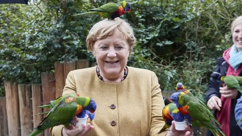 Angela Merkel pappagalli 4